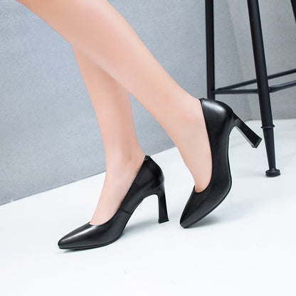 Women’s Pumps - Pointed Toe - Mid Stiletto Heel - Sleek Versatile Formal Style